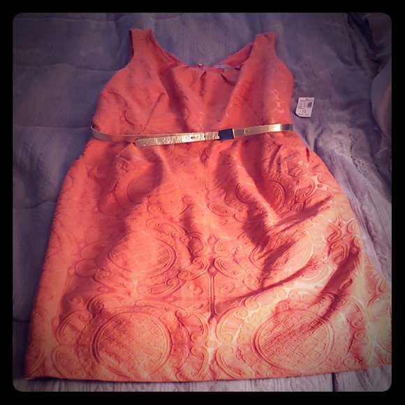 Dress Barn Dresses & Skirts - ❤Dress Barn Sleeveless Dress